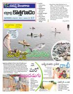 Bhadradri Kothagudem