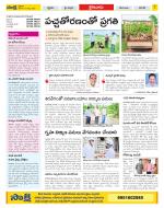 Krishna Constituencies