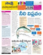 Mahabubnagar District