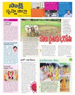 Krishna District