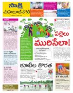 Mahabubnagar District