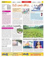 Nizamabad Constituencies