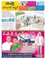 Hanamakonda District