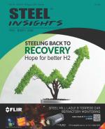 Steel Insights