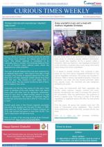 Curious Times Weekly