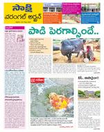 Hanamakonda District