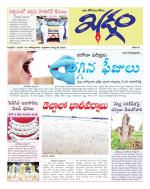 khadgam daily news paper