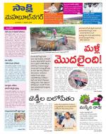 Mahabubnagar District