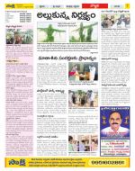 Vijayanagaram Constituencies