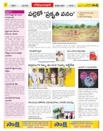 Adilabad Constituencies