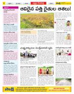 Mahabubnagar Constituencies