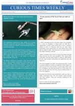 Curious Times Weekly