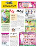 Mahabubnagar District