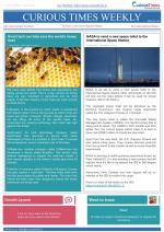 Curious Times Weekly