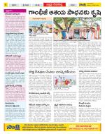 Mahabubnagar Constituencies