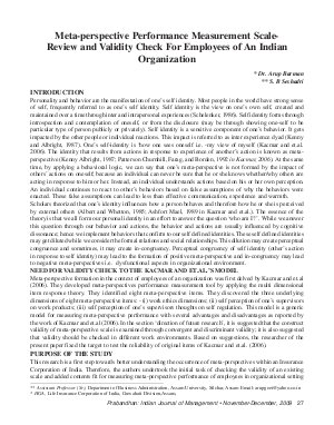 PIJM-Nov-Dec09-Article3-Meta - Perspective Performance Measurement