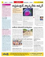 Krishna Constituencies