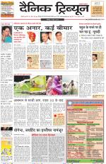 Dainik Tribune (Rohtak Edition)