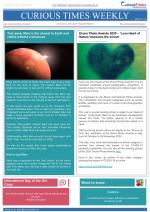 Curious Times Weekly