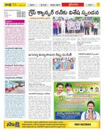 Krishna Constituencies