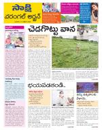 Hanamakonda District