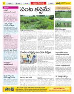 Mahabubnagar Constituencies