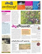 Nagarkurnool District