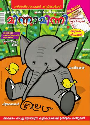 Minnaminni - 2020 October 28