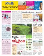 Mahabubnagar District