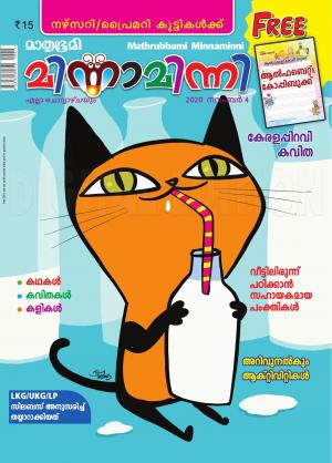 Minnaminni - 2020 November 4