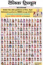 Dainik Tribune (Rohtak Edition)