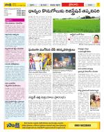 Krishna Constituencies