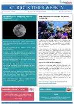 Curious Times Weekly