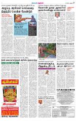Trichy Supplement