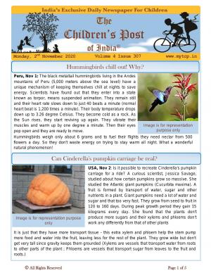 The Children's Post, 2nd November 2020