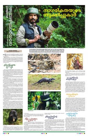 weekend, 08th November 2020