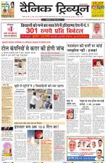 Dainik Tribune (Rohtak Edition)