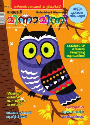 Minnaminni - 2020 December 16