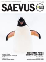 Saevus