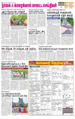 Nagai-Trichy Supplement