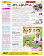 Krishna Constituencies