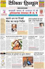 Dainik Tribune (Rohtak Edition)