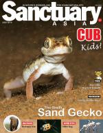 Sanctuary Cub