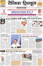 Dainik Tribune (Rohtak Edition)