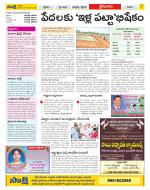 Krishna Constituencies