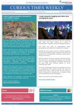 Curious Times Weekly