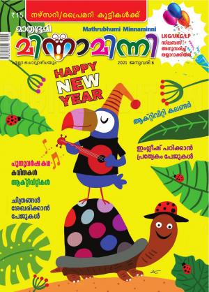 Minnaminni - 2021 January 6