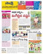 Mahabubnagar District