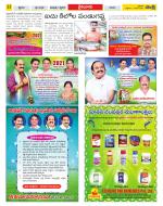 Krishna Constituencies