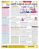 Krishna Constituencies